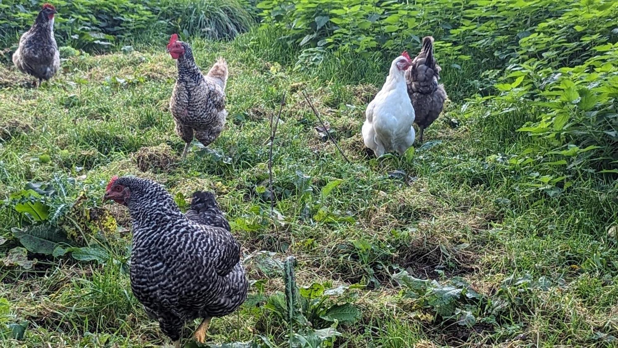 Gite Chez Loupi Epaignes Ngoại thất bức ảnh